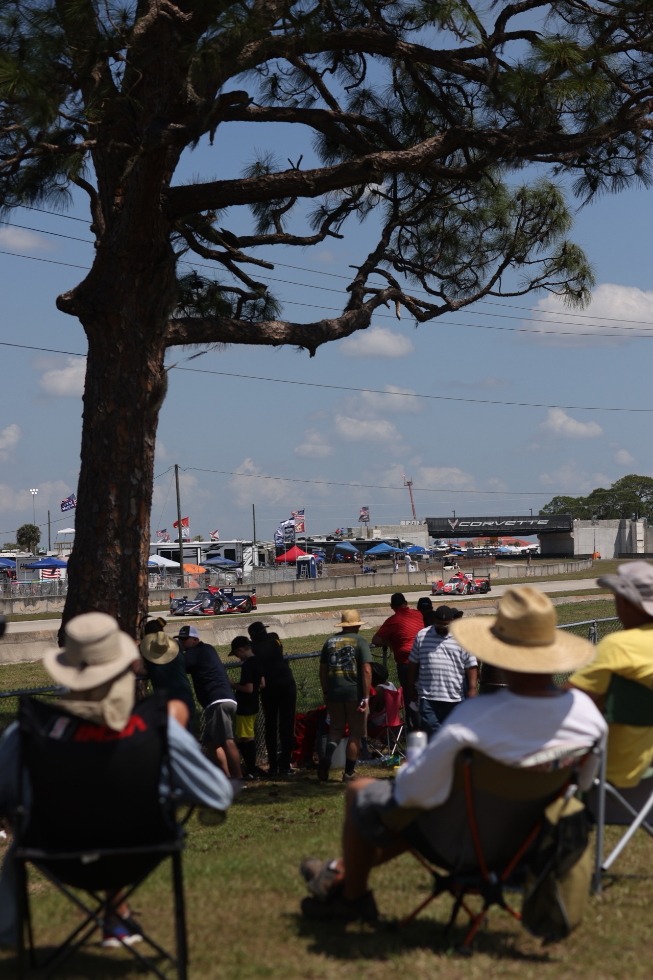 Spectators in sun hats on folding chairs under a pine tree watching two prototypes pass, with RVs and flags along the far side of the track