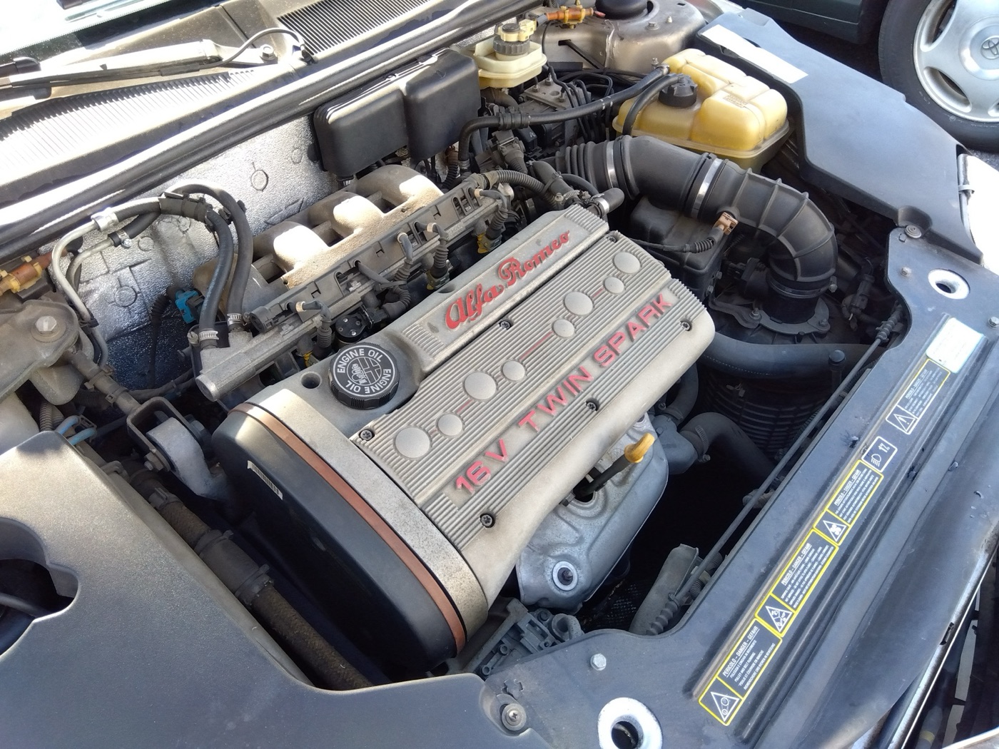 Engine bay of an Alfa Romeo GTV with a grey ribbed cam cover reading Alfa Romeo 16V Twin Spark in red letters