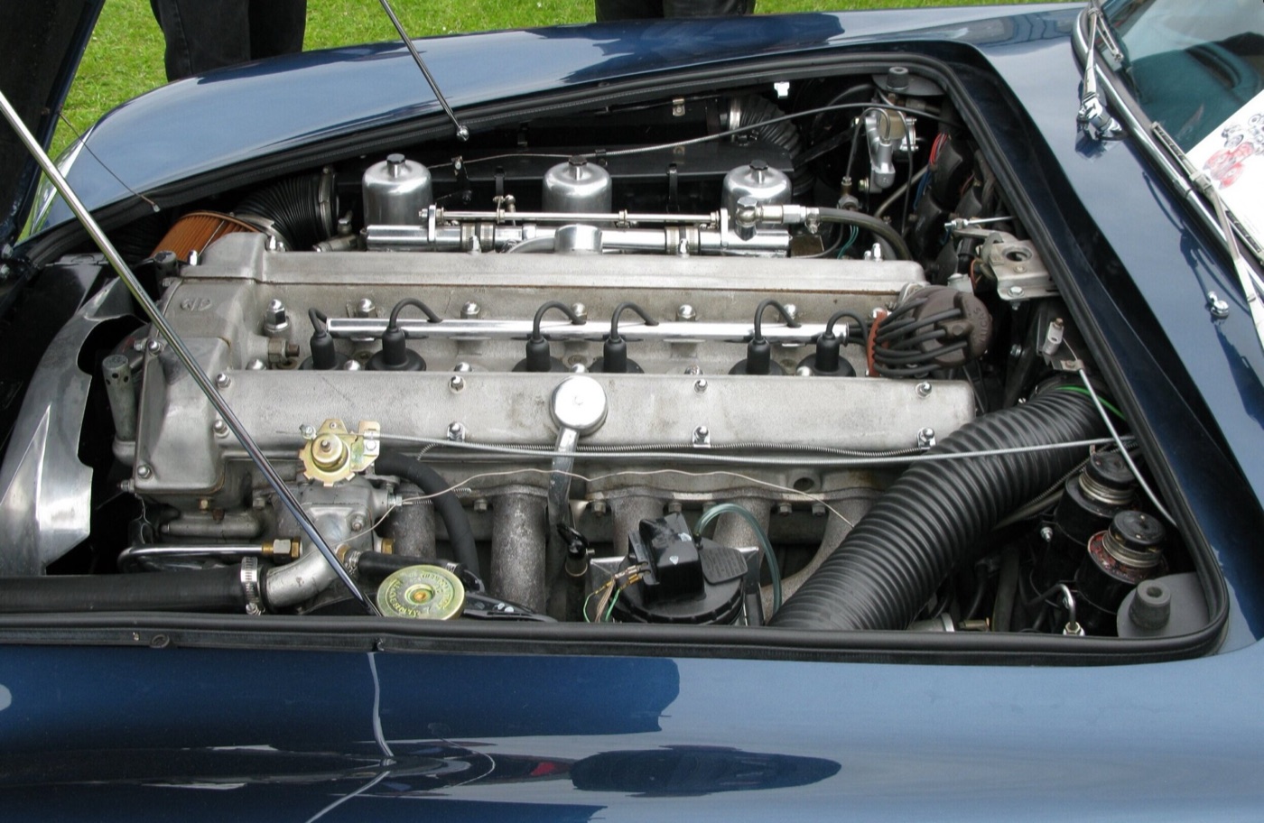 Engine bay of a dark blue DB5 with the twin-cam straight-six, its two cam covers and three SU carburettors