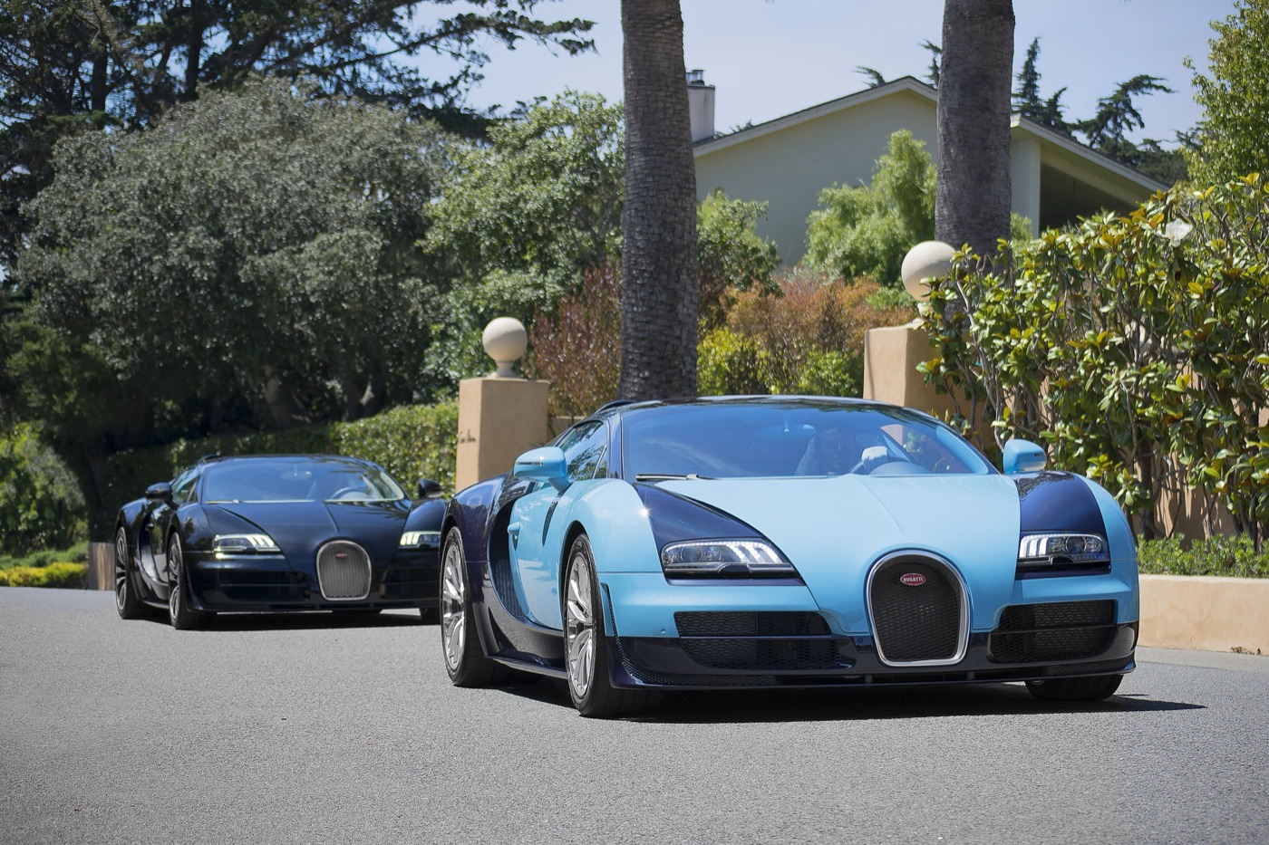A light and dark blue Bugatti Veyron Grand Sport Vitesse leading a dark blue and black one along a tree-lined road