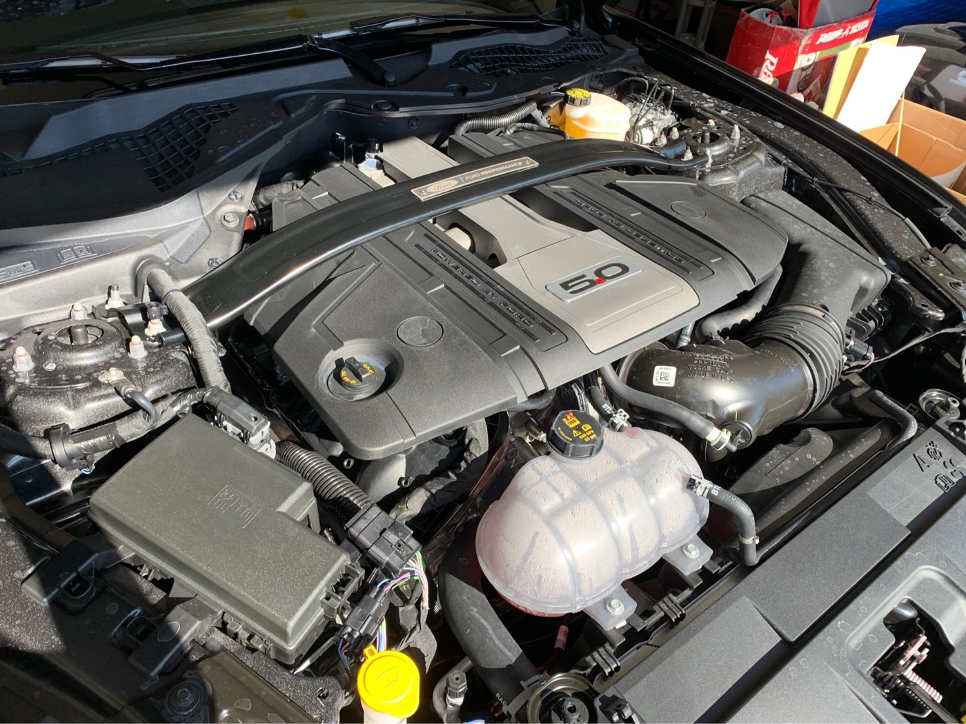 Engine bay of a Mustang GT with the black 5.0 engine cover, a Ford Performance strut brace across the top and the coolant tank in front