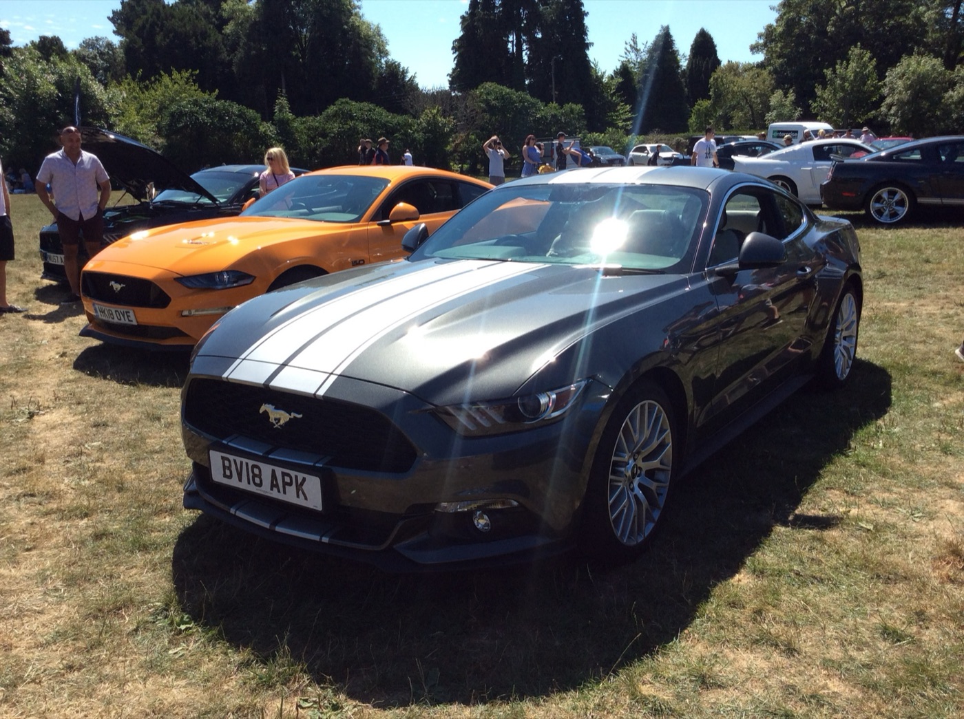 Grey Mustang EcoBoost fastback with silver bonnet stripes on grass at a car show, an orange facelifted Mustang GT beside it