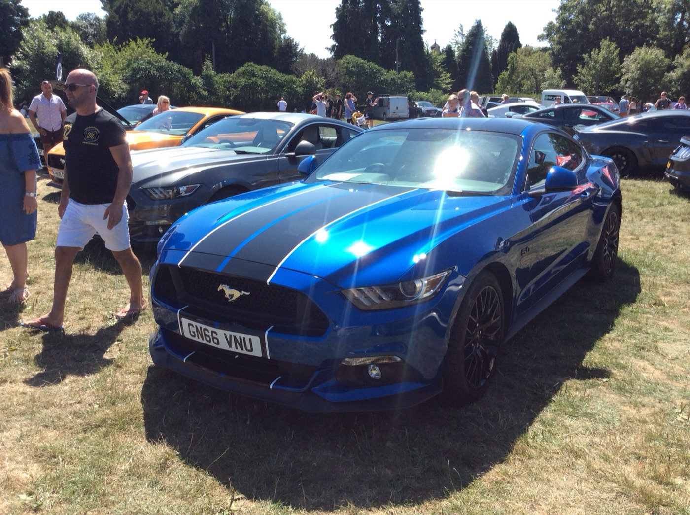 Blue right-hand-drive Mustang GT fastback with black bonnet stripes and black wheels on grass at a car show, other Mustangs behind