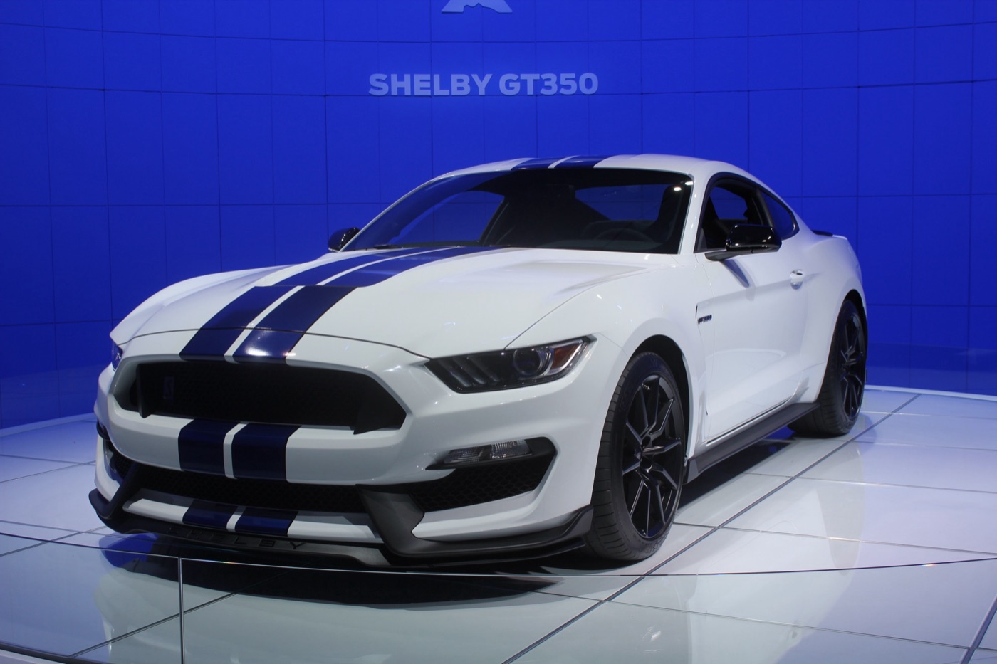 White Shelby GT350 with dark blue stripes over the bonnet and roof on a white stand in front of a blue wall reading Shelby GT350