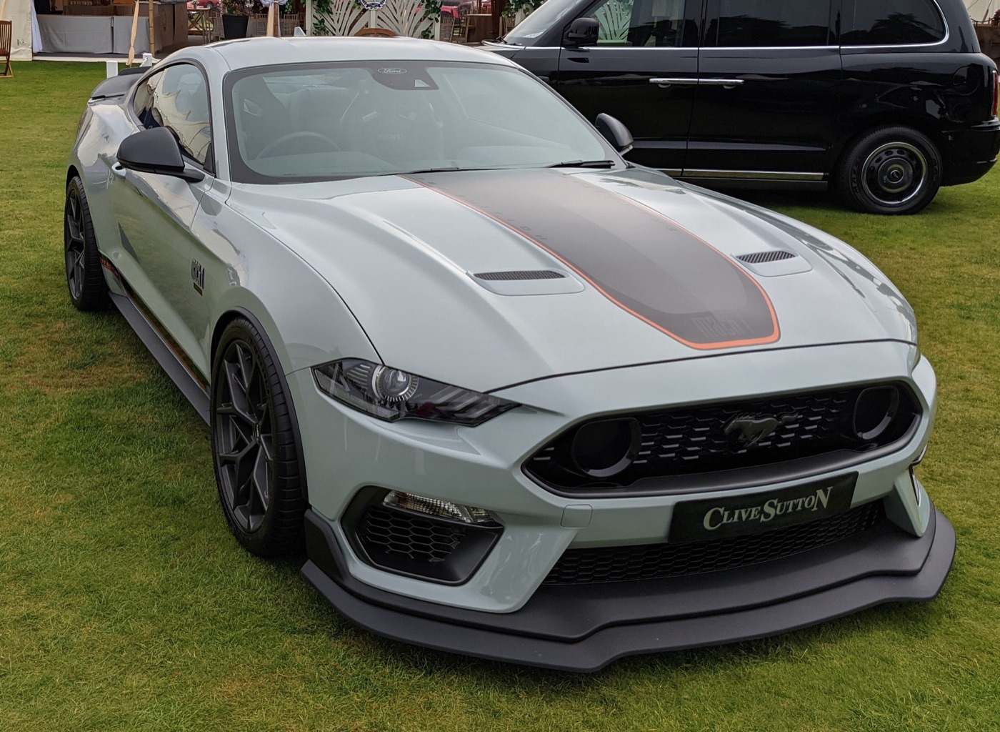 Pale grey Mustang Mach 1 with a dark bonnet stripe edged in orange, two round inlets in the grille and a deep front splitter, on grass