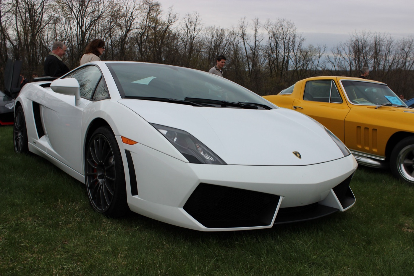 White Lamborghini Gallardo LP560-4 coupé with black multi-spoke wheels on grass, seen from the front