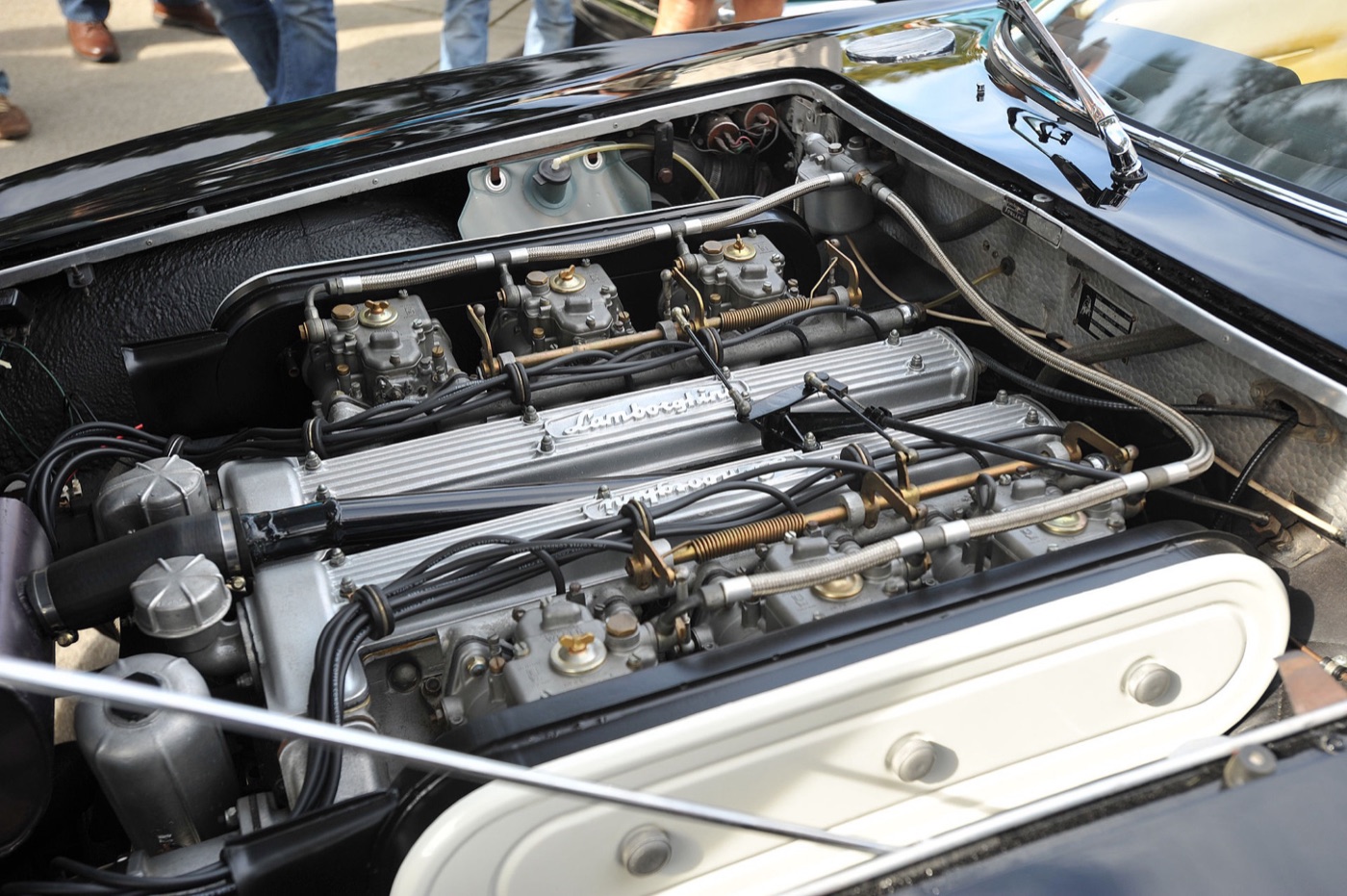 Engine bay of a Lamborghini 350 GT showing the 3.5-litre V12 with its two cam covers and six carburettors