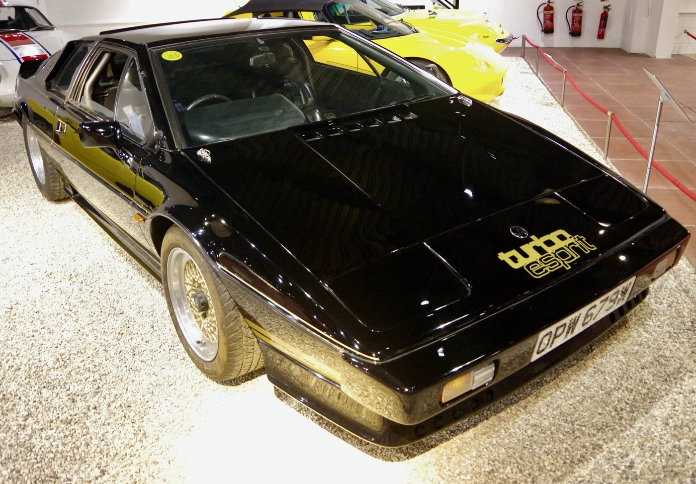 Black 1981 Lotus Turbo Esprit with gold turbo esprit decals on the nose and gold-centred wheels