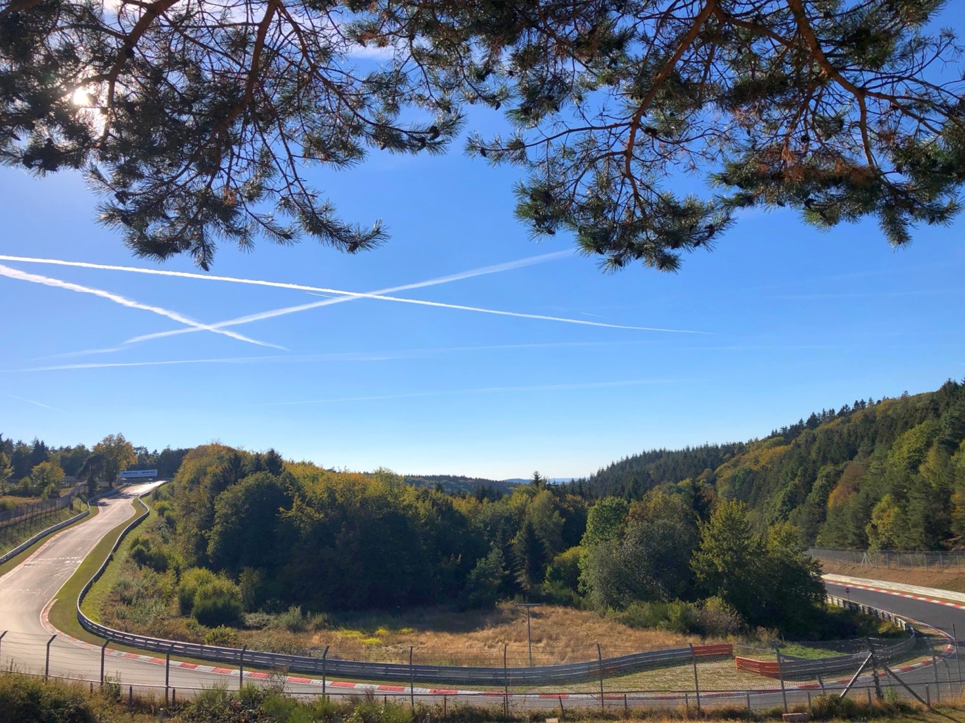 View from above of the Nordschleife climbing through autumn woods towards the Karussell, under pine branches and a blue sky