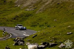 IMG_8556S
