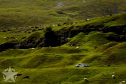 IMG_8654S
