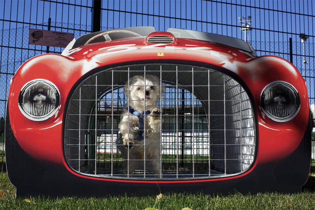 Ferrari Museum kennels G1 999x665 Maranello’s Ferrari Museum diversifies into dog boarding..