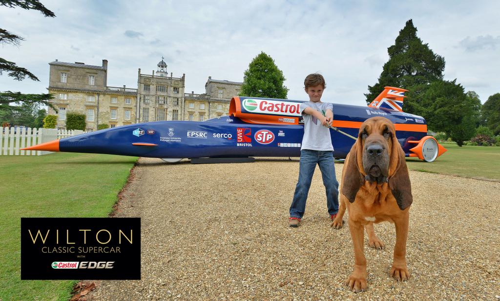 WiltonHouseWCS2014_Bloodhound_G6